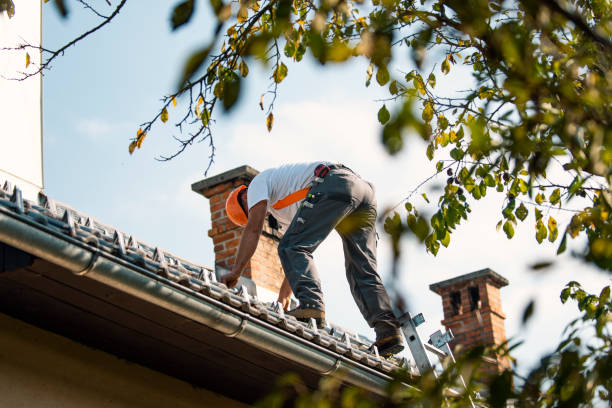 Roof Restoration in Pantego, TX